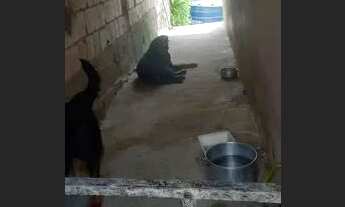 Imagem 5: Vendo casa no terra Nova 3" 90.000