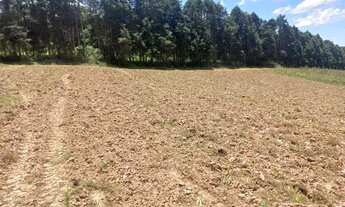 Imagem 1: Lote/Terreno para venda com 500 metros quadrados em Jardim Primavera - Cotia - SP