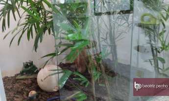 Imagem 2: Sala para alugar, 15 m² por R$ 1.000/mês - Vila Redentora - São José do Rio Preto/SP