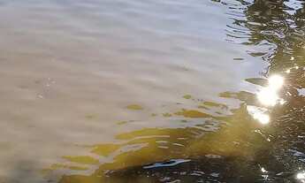 Imagem 6: Terreno região de três Marias condomínio