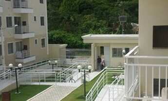 Imagem: Viva Vida null