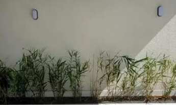 Imagem 7: A casa de alto padrão em Tijucas, Santa Catarina, possui uma série de motivos e