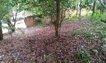 Imagem: Terreno avenda no porto grande