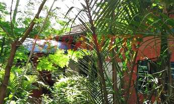 Imagem 2: Terreno em Tremembe