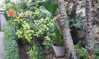 Imagem 4: APARTAMENTO RESIDENCIAL em RIO DE JANEIRO - RJ, VILA ISABEL