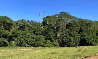 Imagem 2: DB- Vendo Terreno bem localizado