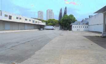 Imagem 5: GALPÃO PARA LOCAÇÃO COM 40 DOCA NA VILA LEOPOLDINA