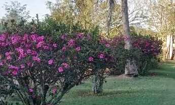 Imagem 3: Sitio raiz em Boituva, 4 alq 90% pasto