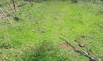 Imagem 6: Fazenda de 115 t, próxima a linha verde, estrada do coco, com casa, curral e rio