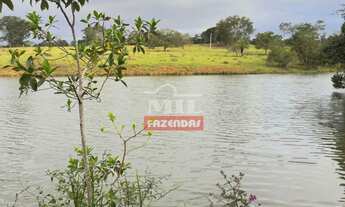 Imagem 7: Fazenda 24 Alqueires (116.16 Hectares) Pires do Rio - GO