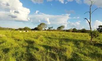 Imagem: Fazenda 180 hectares