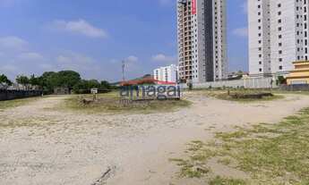 Imagem 6: Excelente oportunidade para empreendimento!