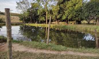 Imagem 3: CEDRAL (SP) Ótimo Sítio com 1,5 alqueires