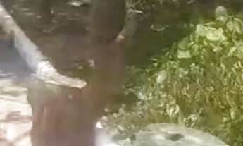 Imagem 6: Vendo Terreno,troco em carro ou moto