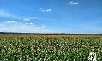 Imagem 3: FAZENDA COM FABRICA DE ÓLEOS VEGETAIS EM NOVA MUTU/ MT