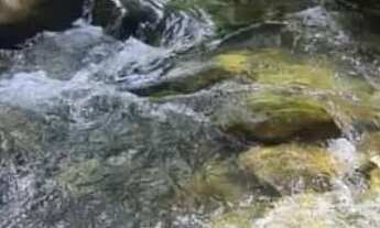 Imagem 2: Casa(Sobrado )a 10 min do centro da cidade