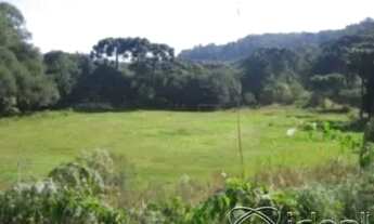 Imagem 5: CRÉDITO REAL VENDE ÁREA DE TERRAS NA RS 122- CAXIAS DO SUL