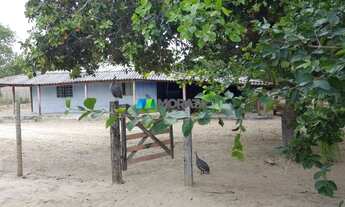 Imagem 7: FAZENDA À VENDA - 664 HECTARES - JANUÁRIA (MG