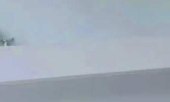 Imagem 8: Aluguel /Venda Apartamento com 2 dormitórios