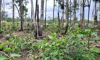 Imagem 2: Terreno no Iranduba