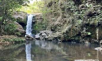 Imagem 2: Vendo Fazenda Próximo a Pirenópolis , 200metros do rio