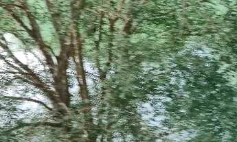 Imagem 6: Casa com ponto de comércio em Paraibuna SP