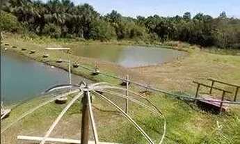 Imagem 5: Fazenda de Alto Padrão à Venda 80 Alqueires Próximo a Bom Jardim (GO