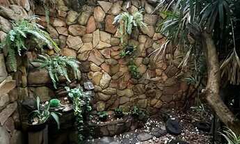 Imagem 3: Refúgio Urbano com Conforto Privativo