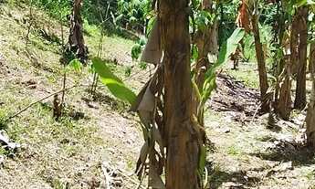 Imagem 5: Oportunidade Rara no Sana Terreno com 4.500 m² em Localização Privilegiada