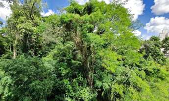 Imagem 7: Apartamento 3 dormitórios, banheiros 1 garagem e muita área de lazer