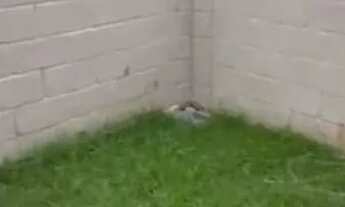 Imagem 4: Alugo quarto no apartamento