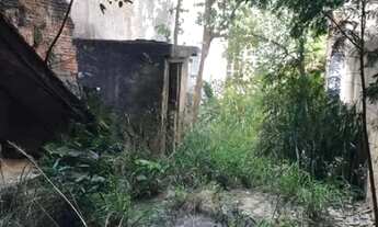 Imagem 7: AREA - PERDIZES - SP