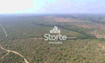 Imagem 5: Fazenda à venda, 1694000 m² por R$ 2.000.000,00 - Área Rural Alvorada do Norte - Alvorada