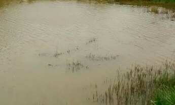 Imagem 5: Ótima fazenda em Mimoso do Sul - ES