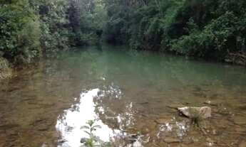 Imagem 2: A&M Imoveis vende exelente Fazenda em Minas Gerais com 525Hectares