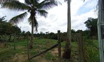 Imagem 6: SÍTIO ESCRITURADO ENTRE XURI E CÓRREGO SETE - 1.000 m