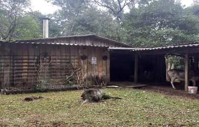 Imagem 11: Chácara Monte Bérico Caxias do Sul