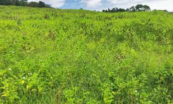 Imagem 4: Lotes de 500 m² em Ibiúna ideais para investimento de médio e longo prazo