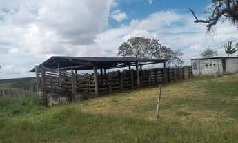 Imagem 5: 380 ta. Br 101/ Lage -Ba