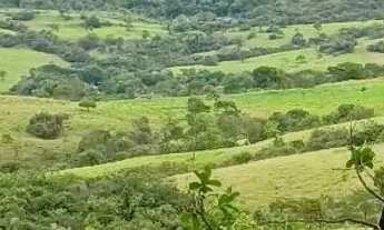 Imagem 4: Sítio a venda Chácara com venda por R$350.000