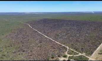 Imagem 7: FAZENDA À VENDA - SÃO FÉLIX DO CORIBE / BA