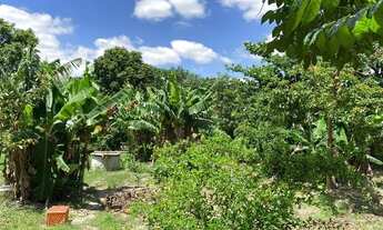 Imagem 3: Vende-se chácara em condomínio fechado - Elias Fausto