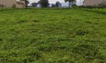 Imagem 5: Terra Santa Monte Sinai , Ágio oportunidade