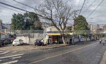 Imagem: Terreno - Campestre - Santo Andre - Sao
