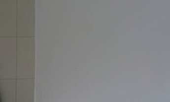 Imagem 6: Vendo Casa com 2 dormitórios