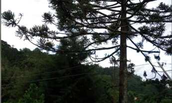 Imagem 7: Encantadora Chácara de 12.600m2 na Zona Urbana, Marmelópolis/MG