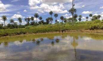Imagem 3: Sitio 33 Hectares Com Água De Rio!!!!Saída Pirapora!!!!