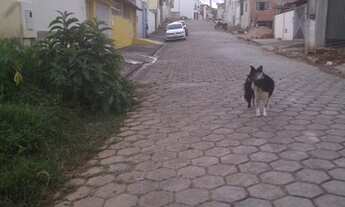 Imagem 7: Lote/Terreno para venda tem 200 metros quadrados em Solar Dos Lagos - São Lourenço - MG