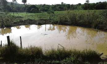 Imagem 4: Sitio 33 Hectares Com Água De Rio!!!!Saída Pirapora!!!!