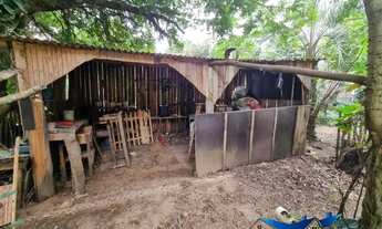 Imagem 6: Velleda oferece sítio de 1600m², dentro de condomínio fechado, com lagoa na Águas Claras